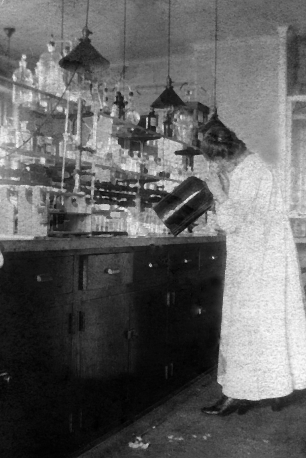 Mariam Vinograd-Villchur at work in the laboratory at the Rockefeller Institute for Medical Research, around 1914.